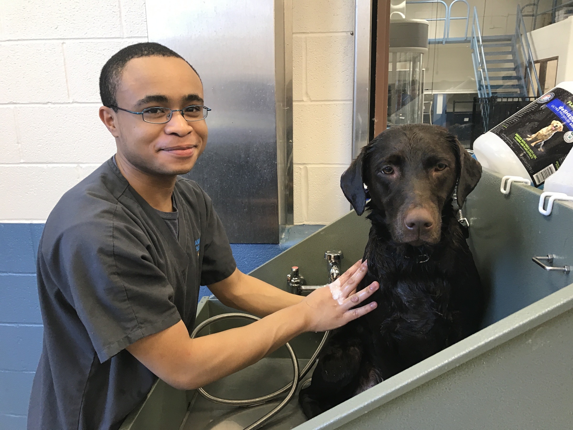 Animal Science Lab Dog Grooming Day